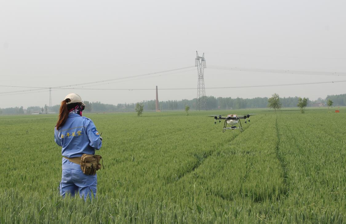 飛防植保、標普農(nóng)業(yè)、全豐航空、飛防服務